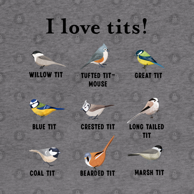 tits bird shirt